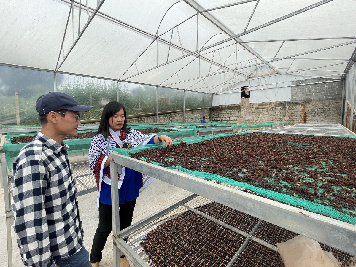Các chuyên gia trong chuyến khảo sát thực địa ở Gaia Coffee (Lâm Đồng)