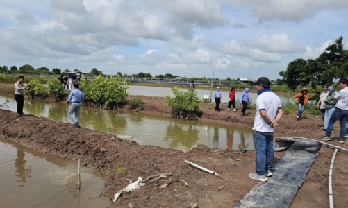 Các giải pháp dựa vào thiên nhiên tăng cường sức chống chịu vùng ven biển đồng bằng sông Cửu Long