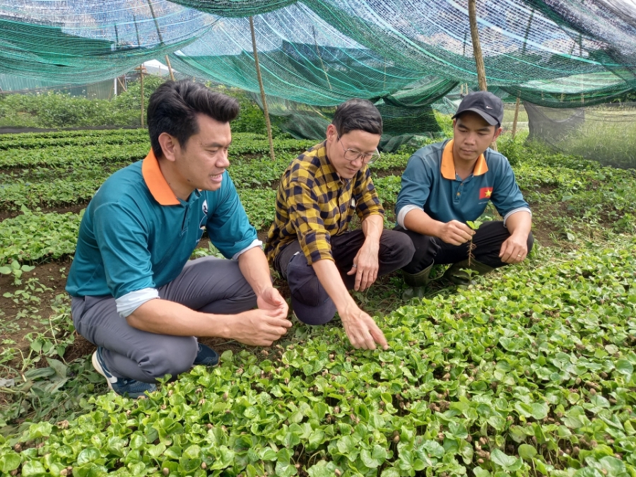 Chuyên gia Bùi Khánh Tùng (ở giữa) trong buổi làm việc với Riatchi Coffee. Buổi làm việc đã mang đến cho Riatchi Coffee&nbsp;nhiều góc nhìn chuyên môn giá trị về việc áp dụng Tiêu chuẩn Bền vững Tự nguyện (VSS) nhằm nâng cao năng lực xuất khẩu, đáp ứng những yêu cầu ngày càng nghiêm ngặt về phát triển bền vững từ các thị trường quốc tế.&nbsp;