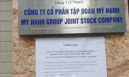 Truy tố Chủ tịch Tập đoàn Mỹ Hạnh chiếm đoạt tiền góp vốn từ dự án cây sâm Ngọc Linh