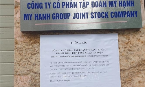 Truy tố Chủ tịch Tập đoàn Mỹ Hạnh chiếm đoạt tiền góp vốn từ dự án cây sâm Ngọc Linh