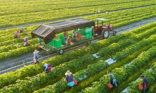 Dự án xanh, tuần hoàn sắp được hỗ trợ lãi suất 2% từ ngân sách