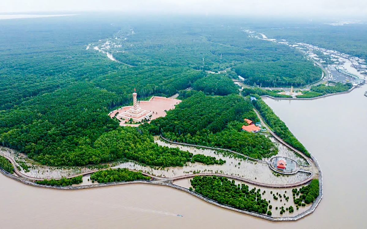 Tiêu chuẩn Việt Nam về phương pháp điều tra trữ lượng rừng ngập mặn đang được xây dựng, lấy ý kiến hoàn thiện.