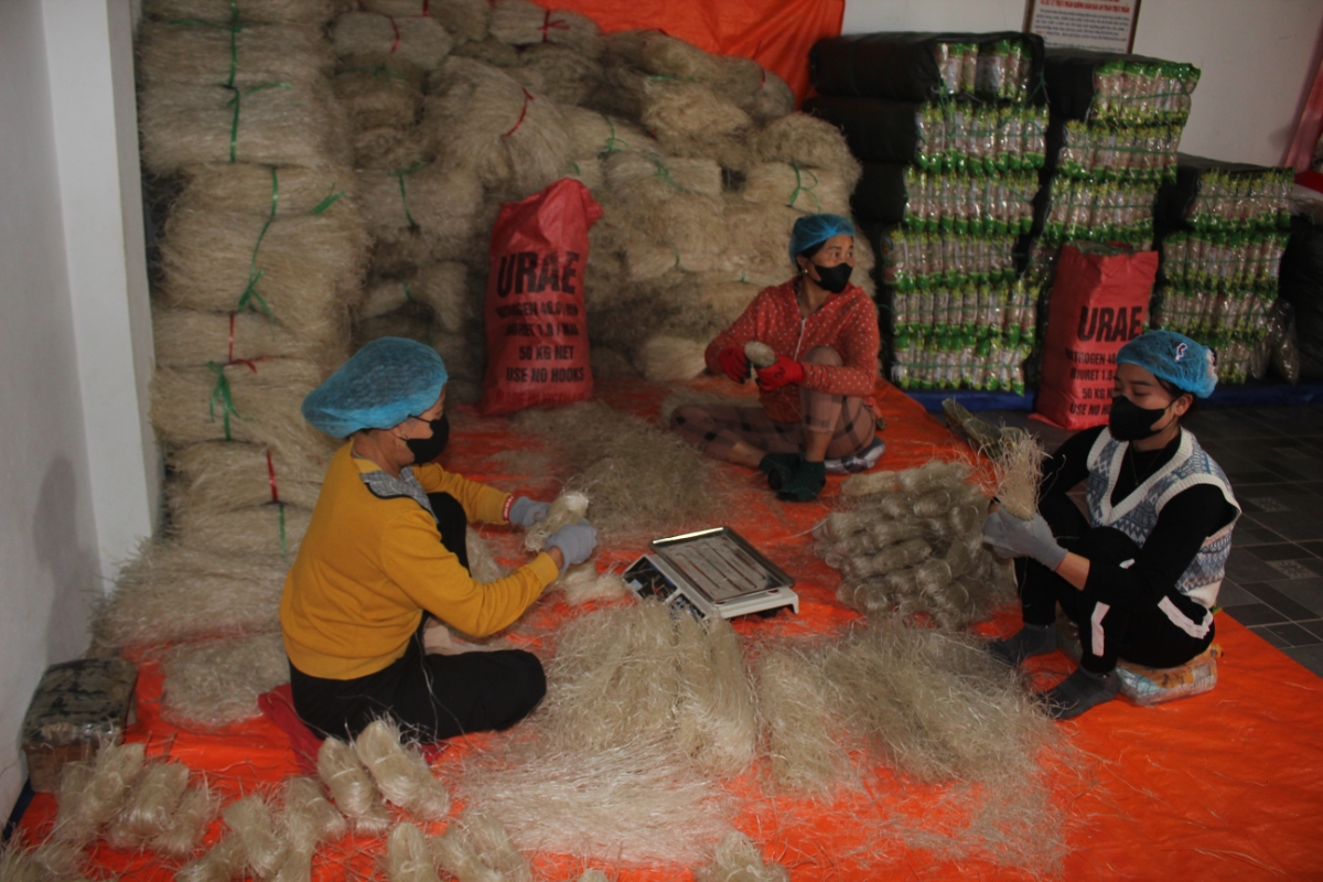 Sản phẩm miến đao Quy Mông đạt OCOP 4 sao. Ảnh: Chu Khôi.