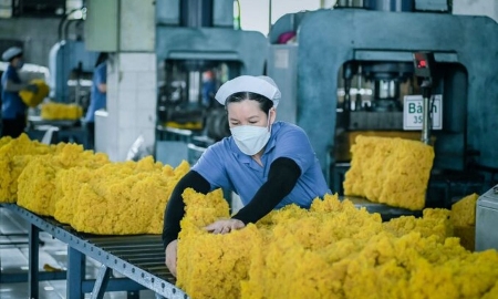 Xuất khẩu cao su chế biến giữ vai trò động lực tăng trưởng chính.