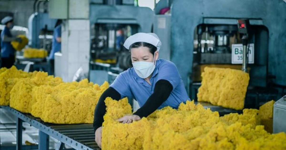 Xuất khẩu toàn ngành cao su năm 2025 ước đạt 11 tỷ USD