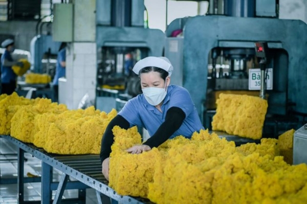 Xuất khẩu cao su chế biến giữ vai trò động lực tăng trưởng chính.