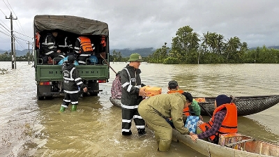 Japan, Brazil assist Vietnam in overcoming disaster aftermath