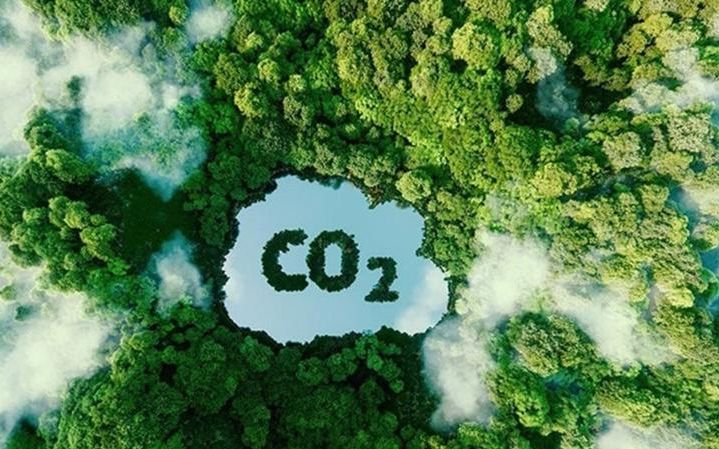 Thị trường carbon sẽ giúp định giá chi phí phát thải, thúc đẩy đầu tư vào công nghệ sạch đồng thời tạo ra một kênh tài chính mới cho các dự án năng lượng xanh