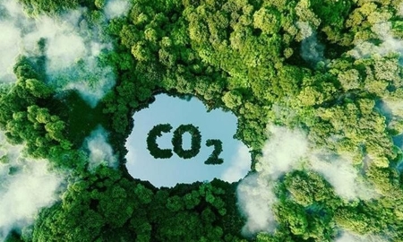 Việt Nam cần khoảng 368 tỷ USD để đạt mục tiêu giảm phát thải Net Zero vào năm 2040. Ảnh minh họa