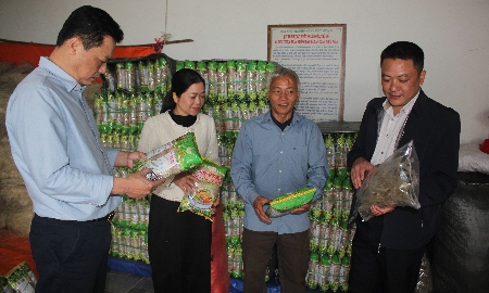 Sản phẩm miến của Hợp tác xã Khởi nghiệp Xanh Quy Mông đạt OCOP 3 sao. Ảnh: Chu Khôi.