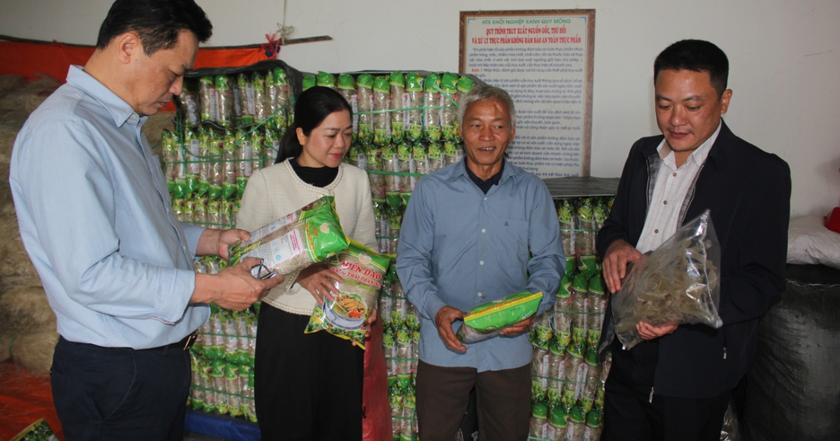 Củ đao giềng rớt giá, xã Quy Mông tìm “lối thoát” cho nông dân