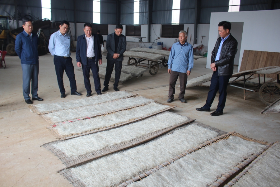 Khi chúng tôi đến, ngoài trời có mưa lâm thâm, nên Hợp tác xã phải phơi miến ở trong nhà. Ảnh: Chu Khôi.