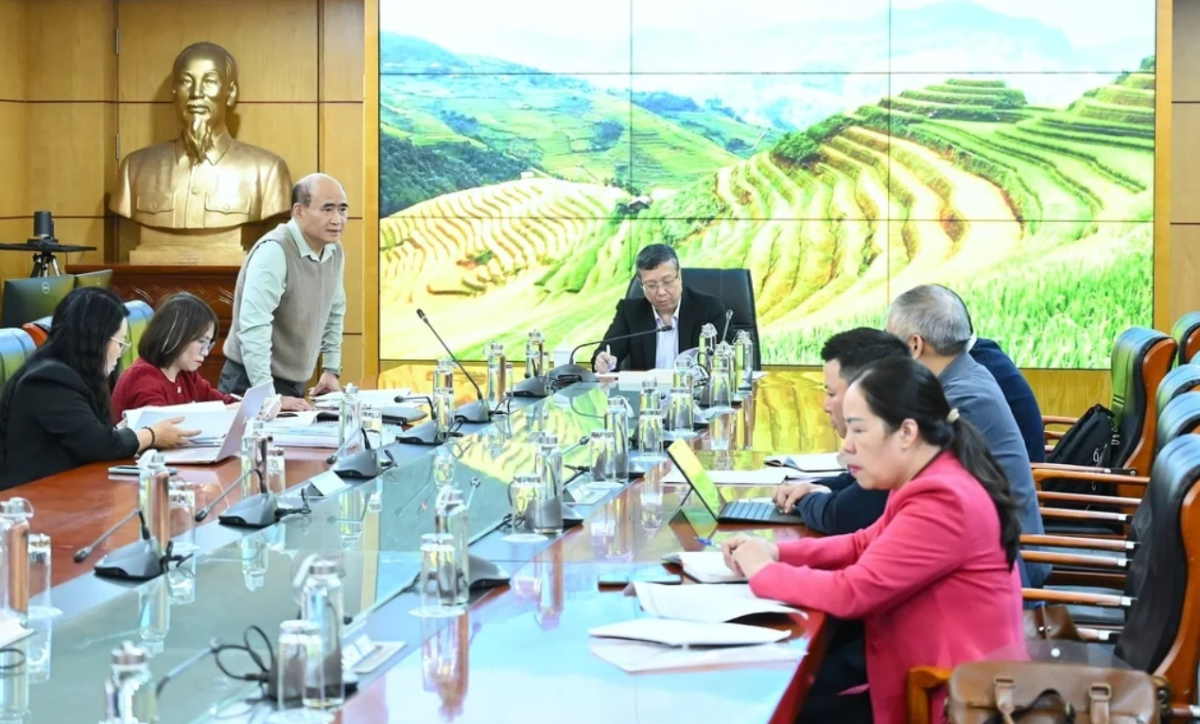 Thứ trưởng Hoàng Trung chủ trì cuộc họp.