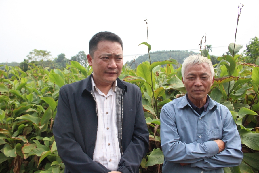 Ông Phạm Văn Hoàn (bên trái) và ông Đỗ Danh Toàn (bên phải) trăn trở về việc củ đao giềng rớt giá. Ảnh: Chu Khôi.