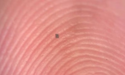 Robot nhỏ nhất thế giới, gần như 