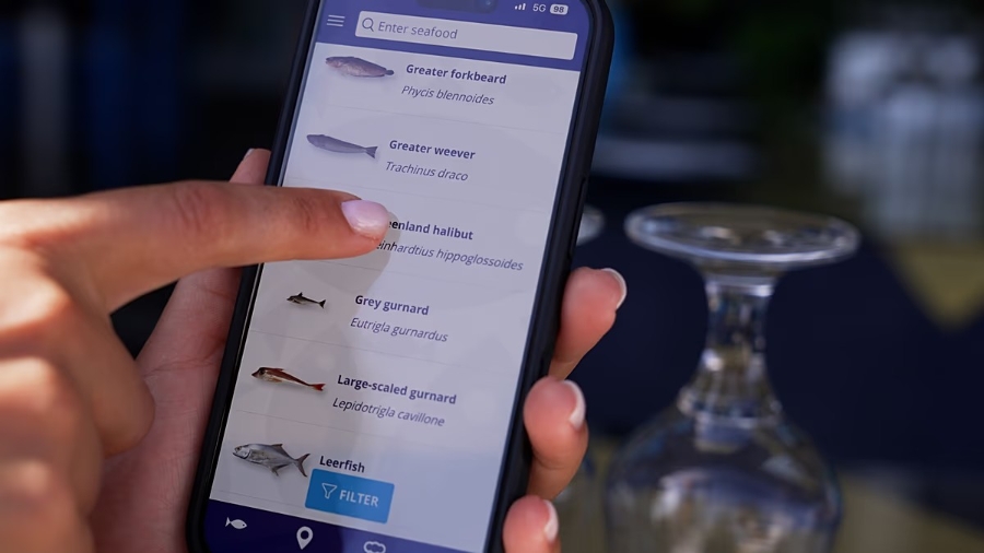 Ứng dụng MrGoodFish3.0 tổng hợp dữ liệu toàn chuỗi cung ứng, kèm khuyến nghị theo mùa và gợi ý chế biến. Ảnh: Euronews