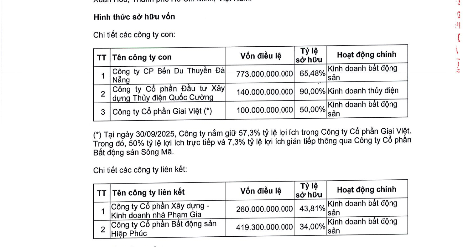 Cổ đông QCG thông qua việc bán các công ty con, công ty liên kết để trả nợ  - Ảnh 1