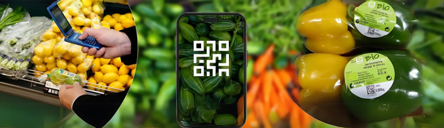 Truy xuất nguồn gốc đang chuyển từ tự phát sang chuẩn hóa và thực hiện bắt buộc theo quy định.