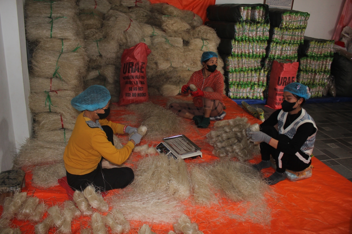 Đóng gói miến tại Hợp tâc xã Khởi nghiệp Xanh Quy Mông. Ảnh Chu Khôi.