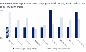Tác động thuế quan của Mỹ dần phai nhạt, cổ phiếu khu công nghiệp sẽ khởi sắc vào năm 2026? 