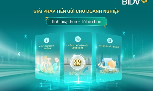 BIDV và giải pháp tiền gửi tối ưu cho doanh nghiệp