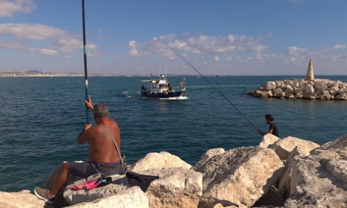 Quét trước khi mua: Ứng dụng số và nỗ lực thay đổi thói quen tiêu dùng hải sản tại EU