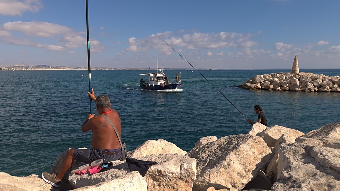 Tại Síp, sản lượng đánh bắt cá sụt giảm mạnh, khiến nhiều ngư dân cho rằng việc ra khơi không còn hiệu quả. Ảnh: Euronews