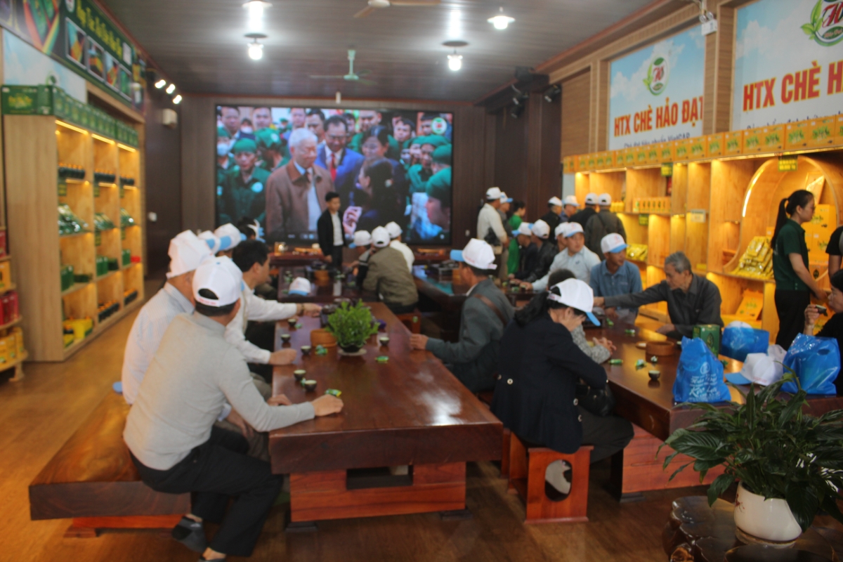 Du khách đến HTX Chè Hảo Đạt vừa thưởng trà, vừa xem những hình ảnh về Cố Tổng Bí thư Nguyễn Phú Trọng thăm HTX. Ảnh: Chu Khôi.