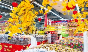 Đẩy mạnh kích cầu tiêu dùng, tạo lực đẩy cho thị trường dịp Tết