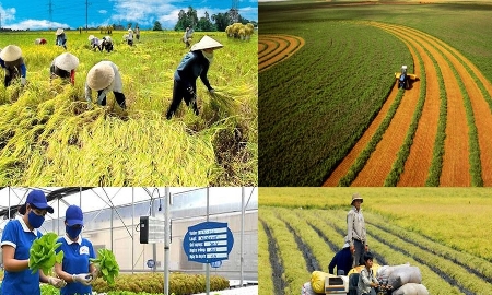 Tháo “nút thắt” tín dụng xanh để thúc đẩy nông nghiệp bền vững