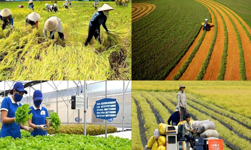 Tín dụng xanh có ý nghĩa then chốt trong việc thúc đẩy chuyển đổi mô hình nông nghiệp theo hướng bền vững.