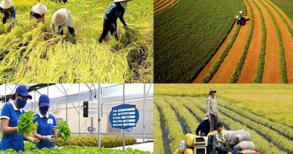 Tháo “nút thắt” tín dụng xanh để thúc đẩy nông nghiệp bền vững