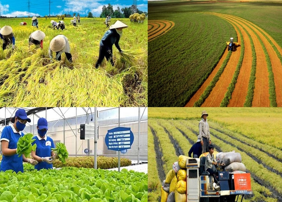 Tín dụng xanh có ý nghĩa then chốt trong việc thúc đẩy chuyển đổi mô hình nông nghiệp theo hướng bền vững.