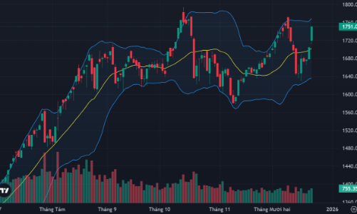 Cổ phiếu ào ạt tăng giá, thị trường tưng bừng tuần cuối năm