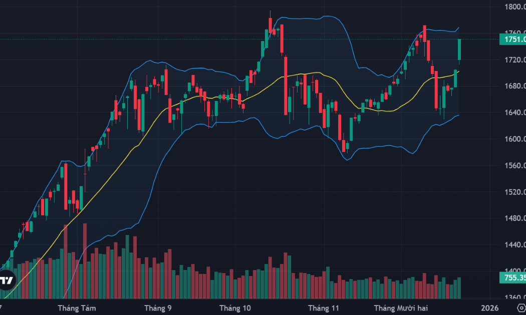 Cổ phiếu ào ạt tăng giá, thị trường tưng bừng tuần cuối năm