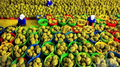 2025 fruit and vegetable exports expected at $8.59 bln
