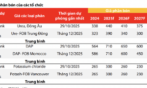 Ngược chiều thế giới, dự báo giá phân bón trong nước tăng nhẹ trong năm 2026 