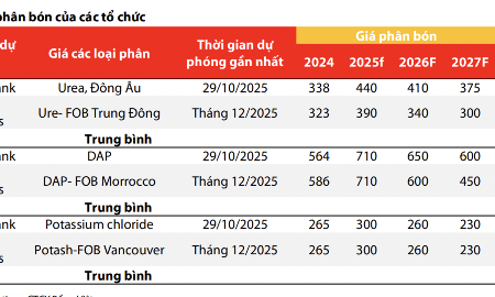 Ngược chiều thế giới, dự báo giá phân bón trong nước tăng nhẹ trong năm 2026