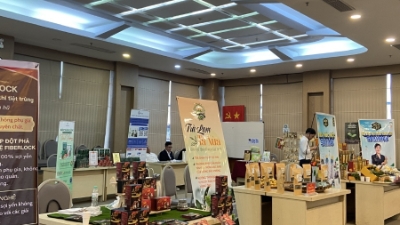 Startup Festival 2025 opens in Hanoi