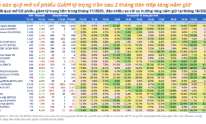 23 quỹ đồng loạt gia tăng giải ngân vào thị trường 