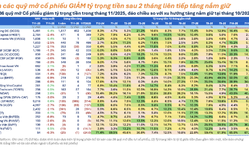 23 quỹ đồng loạt gia tăng giải ngân vào thị trường 