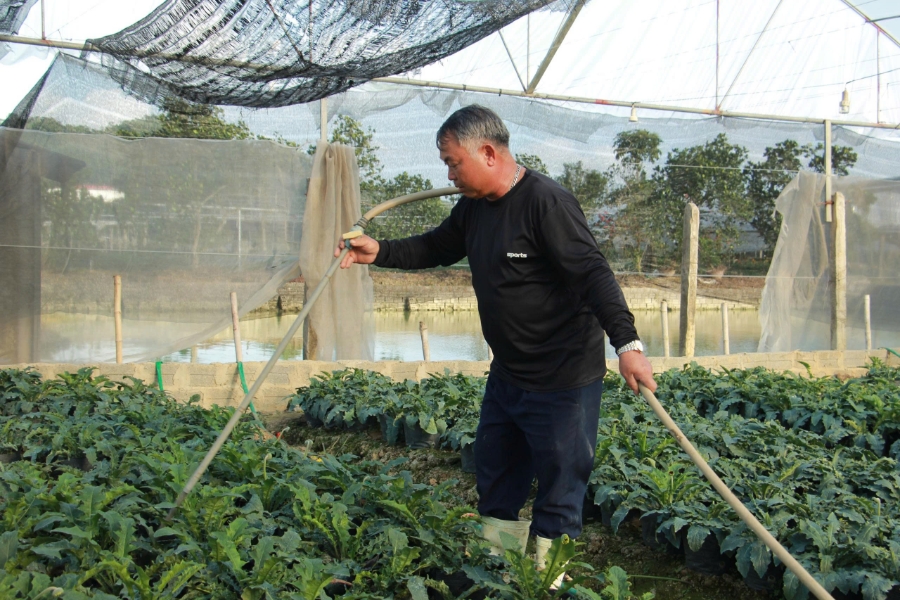 Hệ thống tưới nước được lắp đặt dọc các thửa ruộng hoa