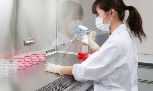 Ajinomoto và chiến lược mở rộng sang lĩnh vực chăm sóc sức khỏe dựa trên “Khoa học về Axit amin”