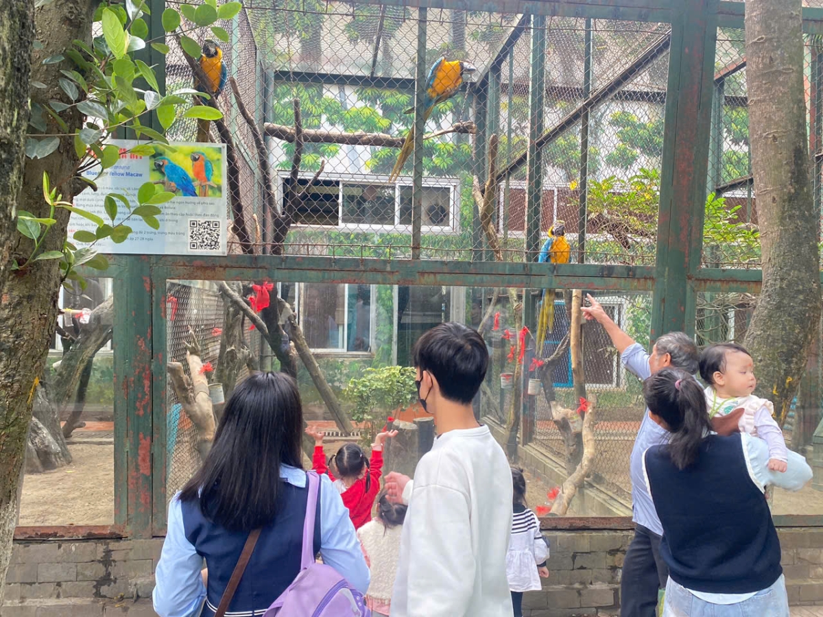 Từ ngày 20/12/2025 đến 1/1/2026, Vườn thú Hà Nội triển khai chuỗi hoạt động trải nghiệm gắn với giáo dục bảo tồn.