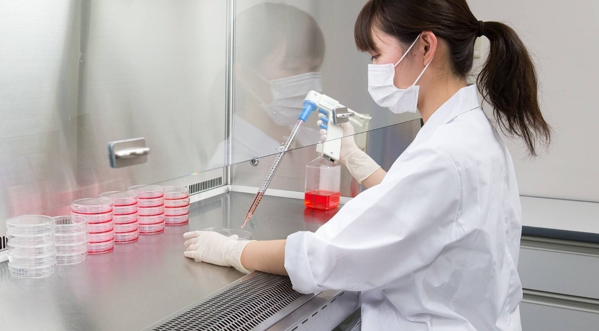 Môi trường nuôi cấy lí tưởng tế bào StemFit™ góp phần phát triển tế bào gốc trong y học.