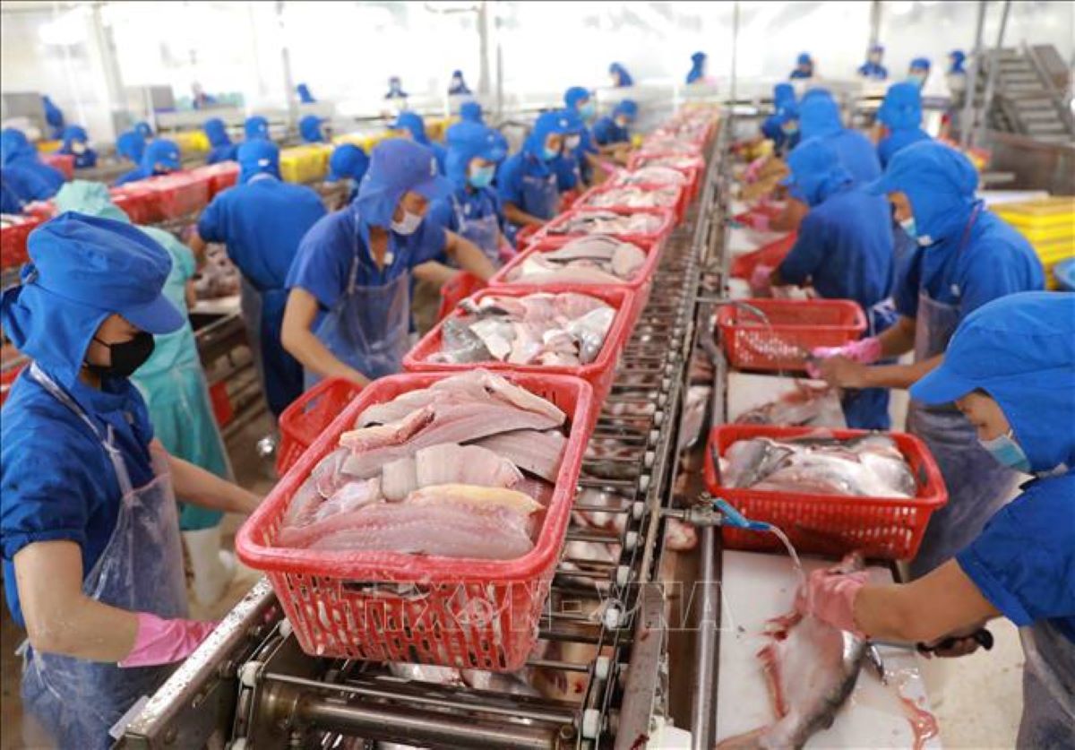 Chế biến thuỷ sản được hưởng ưu đãi miễn thuế.
