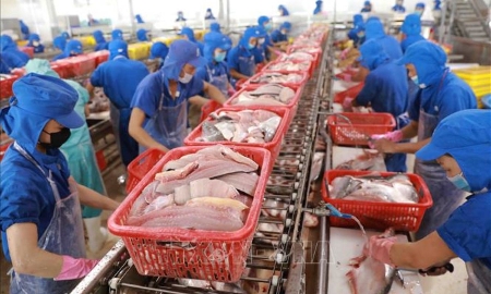 Chế biến thuỷ sản được hưởng ưu đãi miễn thuế.