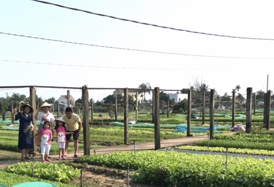 Làng ra Trà Quế (Hội An)-điểm du lịch xanh thu hút khách du lịch. Ảnh Ngô Anh Văn