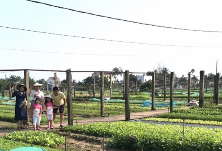 Làng ra Trà Quế (Hội An)-điểm du lịch xanh thu hút khách du lịch. Ảnh Ngô Anh Văn